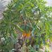 Onesimo Rodriguez - Facebook