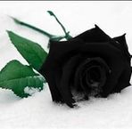 Onesimo Trejo - Facebook