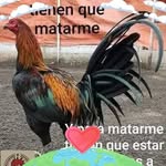 Onesimo Zarate - @onesimozarate1973 - Instagram