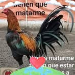 Onesimo Zarate - Facebook