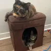Honey&Rio - @hangingwithhoneyandrio - TikTok