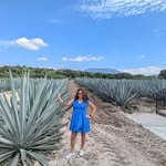 Oneyda Cuevas - @cuevasoneyda - Instagram