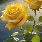 Oneyda Escobar - Facebook