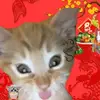Ong Thao - @ong.thao6 - TikTok