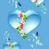 Ong Thao - @user3859646016993 - TikTok