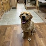 Toni Peters - @toni.peters.589 - Instagram