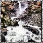 @toni.rogers.165685 - Instagram