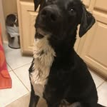 Toni Rogers Miller - @tonirogersmiller - Instagram