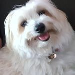 Leonie Walters - @oniejackson56 - Instagram