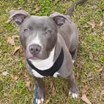 Onie Smith - Facebook