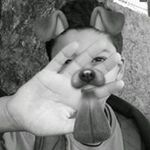 Onix Rivera Mendez - @onixriveramendez - Instagram