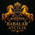 Onur Bayram - @babalaratcilik - Instagram