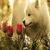 Onur Berber - Facebook