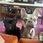 Queen Onyx + King Mars - @queen0nyx - Instagram