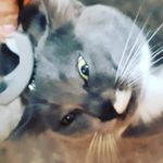 Onyx Smith - @super.nerd7913 - Instagram