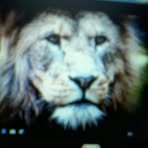 Onzilo Simmons - Facebook
