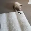 oonaghkelly1 - @oonaghkelly1 - TikTok