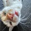 Opal - @opal_anderson06 - TikTok