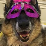 Opal Armstrong - @opal.armstrong2006 - Instagram