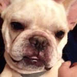 Masha Opal Baker - @mashasworld1 - Instagram