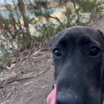 @_opalball - Instagram