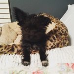 Opal And Ruby Baker Barnett - @opal_ruby_bakerbarnett - Instagram