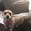 Opál Bass - @opaulleah - TikTok