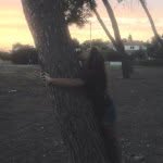 Opal - @opal__baum - Instagram