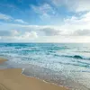 opalbeach15 - @opalbeach15 - TikTok
