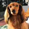 Opal & Fredo - @opal_bean - TikTok