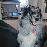 Opal - @_opal_beanie_ - Instagram