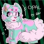 @opal_beanieboos - Instagram
