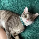 Opal - @opalbeanie - Instagram