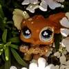 ♧♤♡Opal Bell♡♤♧ - @opal_bell_ - TikTok