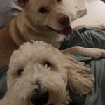 Opal - @opal_bensonxo - Instagram