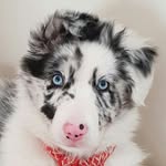 Opale.Berger.Australien - @opale.berger.australien261018 - Instagram