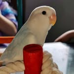Berry - @berryopalinee - Instagram