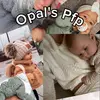 ✩－𝓅ℯ𝓃𝓃𝓎－☆ - @opal.berry.meandmama - TikTok