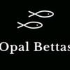 OpalBettas - @opalbettas - TikTok