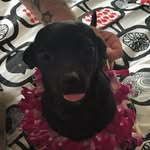 Opal - @opal_bloomy - Instagram