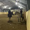 missbondopal - @missbond.opal - TikTok