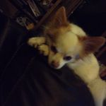 Opal Anne Butler - @opalannebutler - Instagram