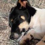 Opal Butler - @townhabern - Instagram