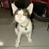 opal - @callmeopal - TikTok