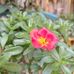 Abel Carreon - Facebook
