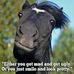 Opal Cash - Facebook