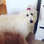 Opal Grace Chandler - @_opal_grace_ - Instagram