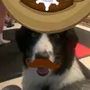 charles opal - @charles.opal2 - TikTok