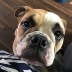 Chase Wren Opal - @chase.wren.opal - Instagram