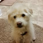 Opal Christensen - @opalchristensen - Instagram